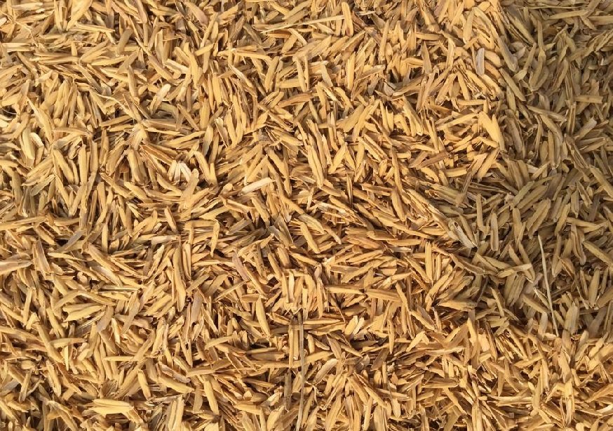 谷壳 稻谷壳 枕头填充物 谷壳 稻子壳 大米壳 谷皮