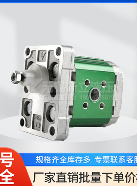 意大利VIVOLO齿轮泵X1P2302FJJA FBBA FIIA原装