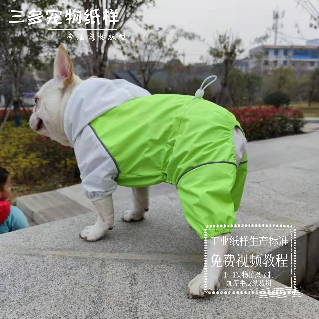 连帽金毛图纸中型棉服模版四脚衣