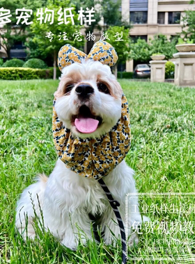 猫狗头套图纸有缝制视频
