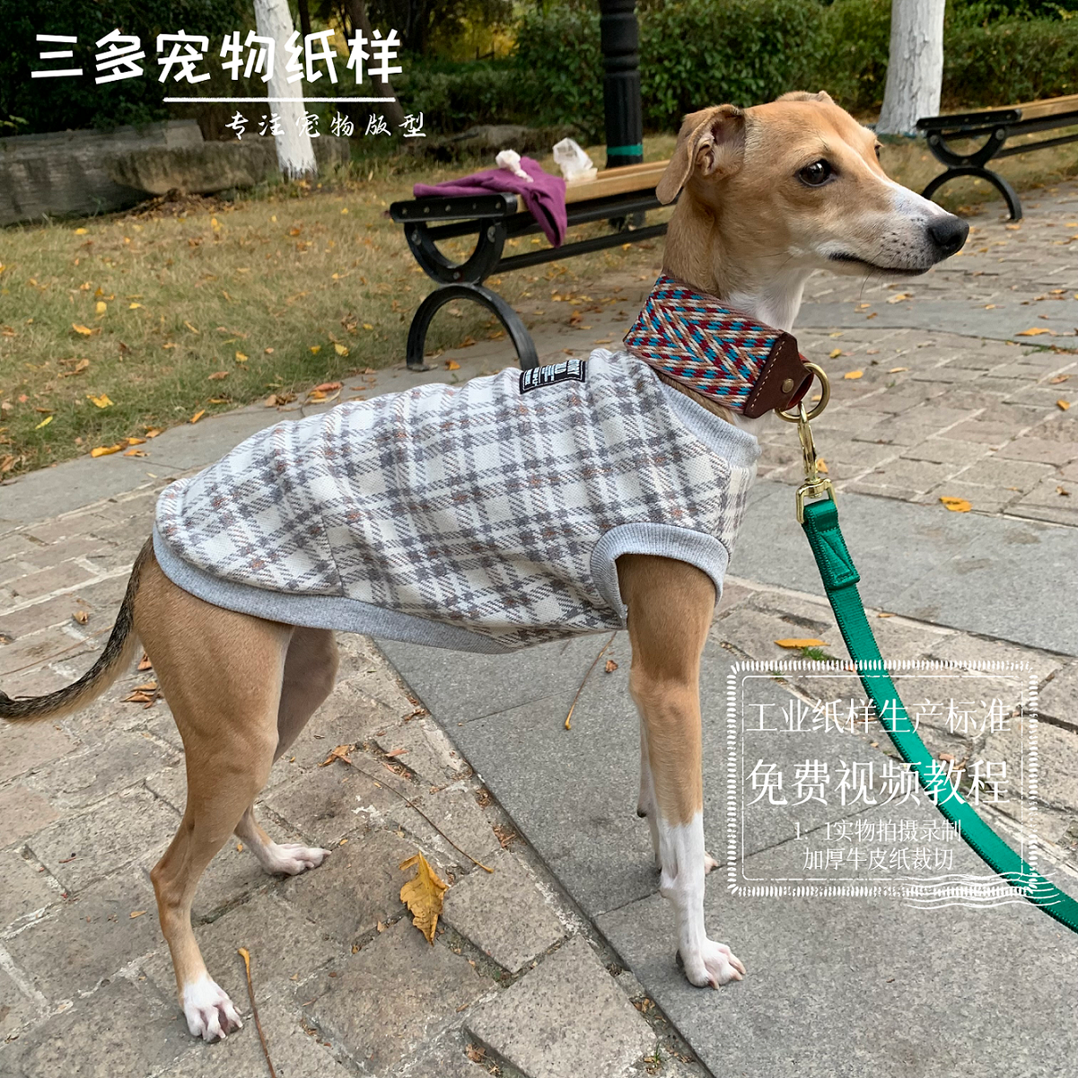 三多宠物纸样意大利小灵缇衣服纸样大灵缇惠比特细犬无袖背心图纸-封面