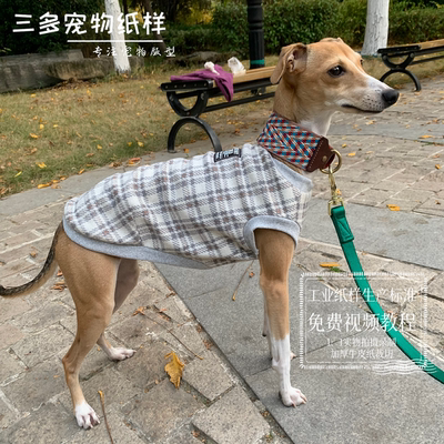 小灵缇特种犬背心衣服纸样