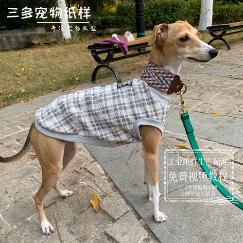 小灵缇特种犬背心衣服纸样