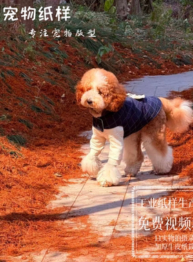 防水图纸大中小型犬模版狗狗雨衣