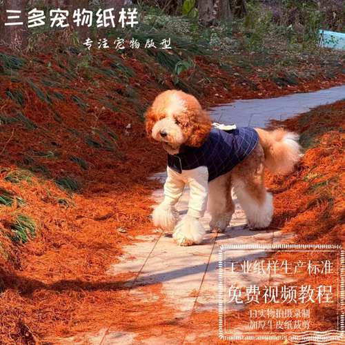 防水图纸大中小型犬模版狗狗雨衣
