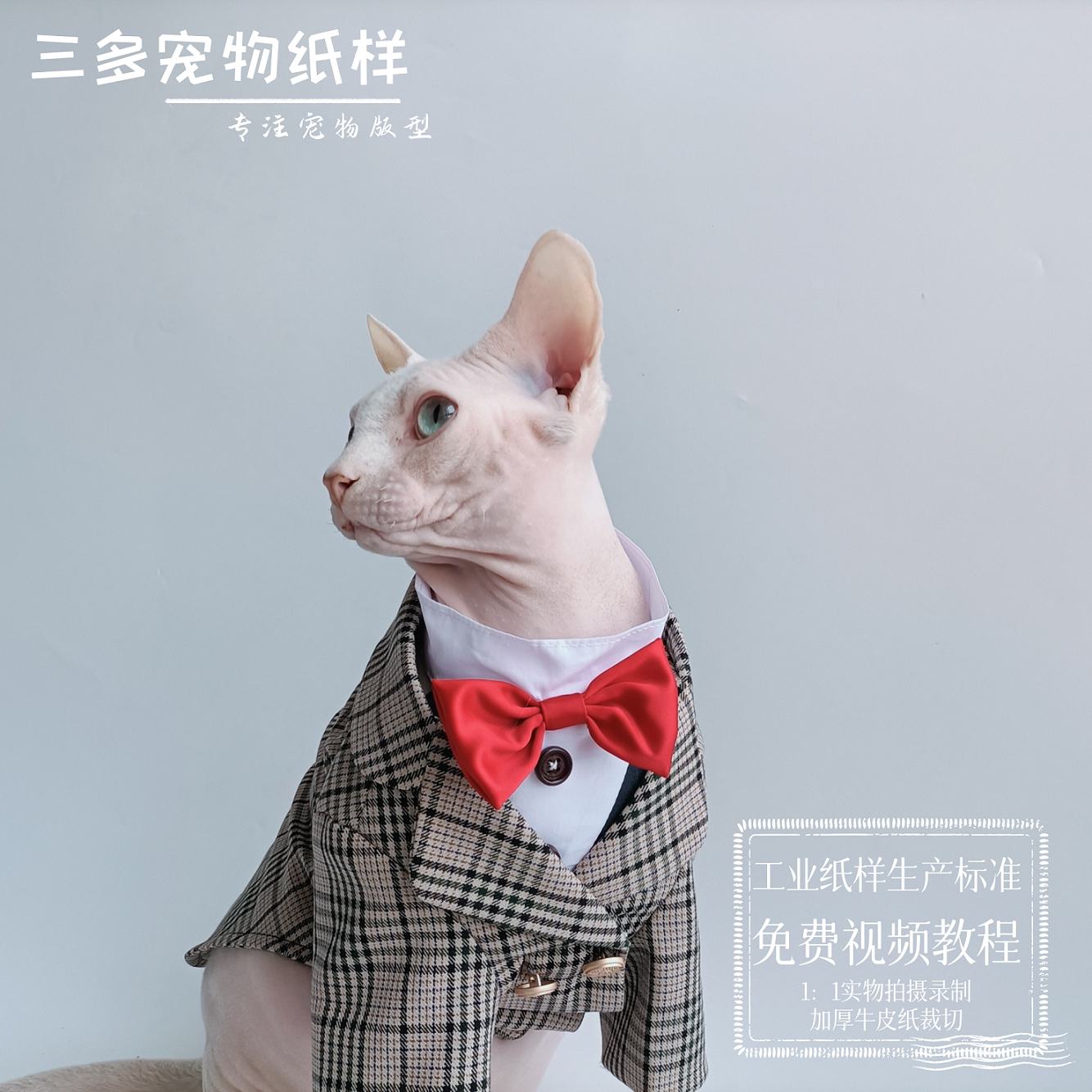 宠物西装纸样猫咪外套绅士衣服图纸西服结婚礼服模版样版缝制视频