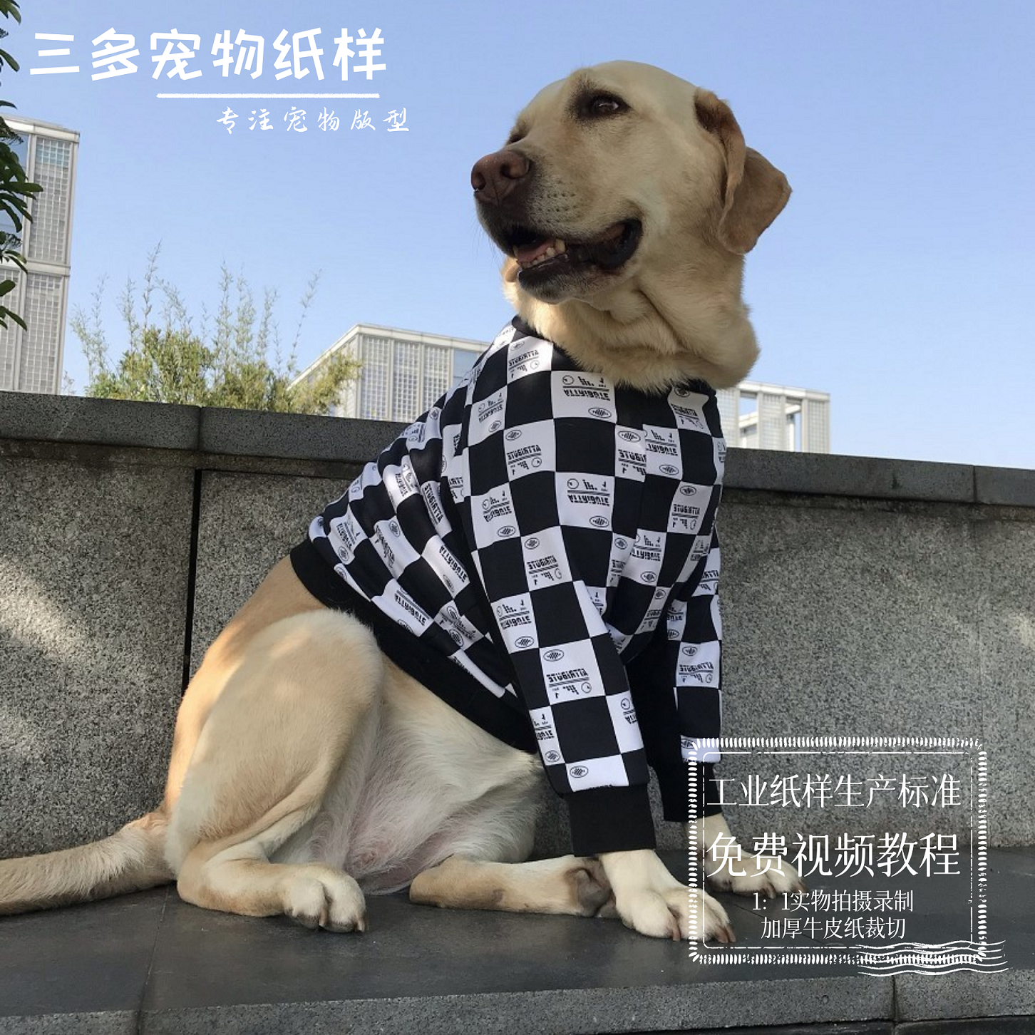 大狗狗衣服纸样金毛拉布拉多护肘关节衣图纸边牧中大型犬定制模版 宠物/宠物食品及用品 猫宠物服装/雨衣（新） 原图主图