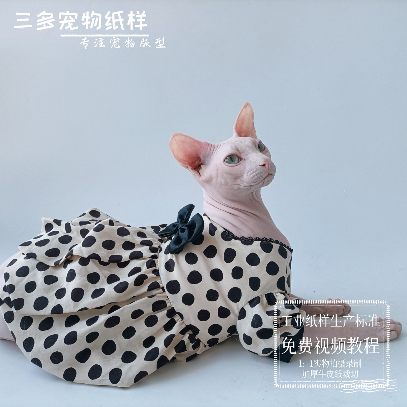 猫咪公主裙图纸无毛猫德文猫连衣裙纸样手工diy缝制定制样版