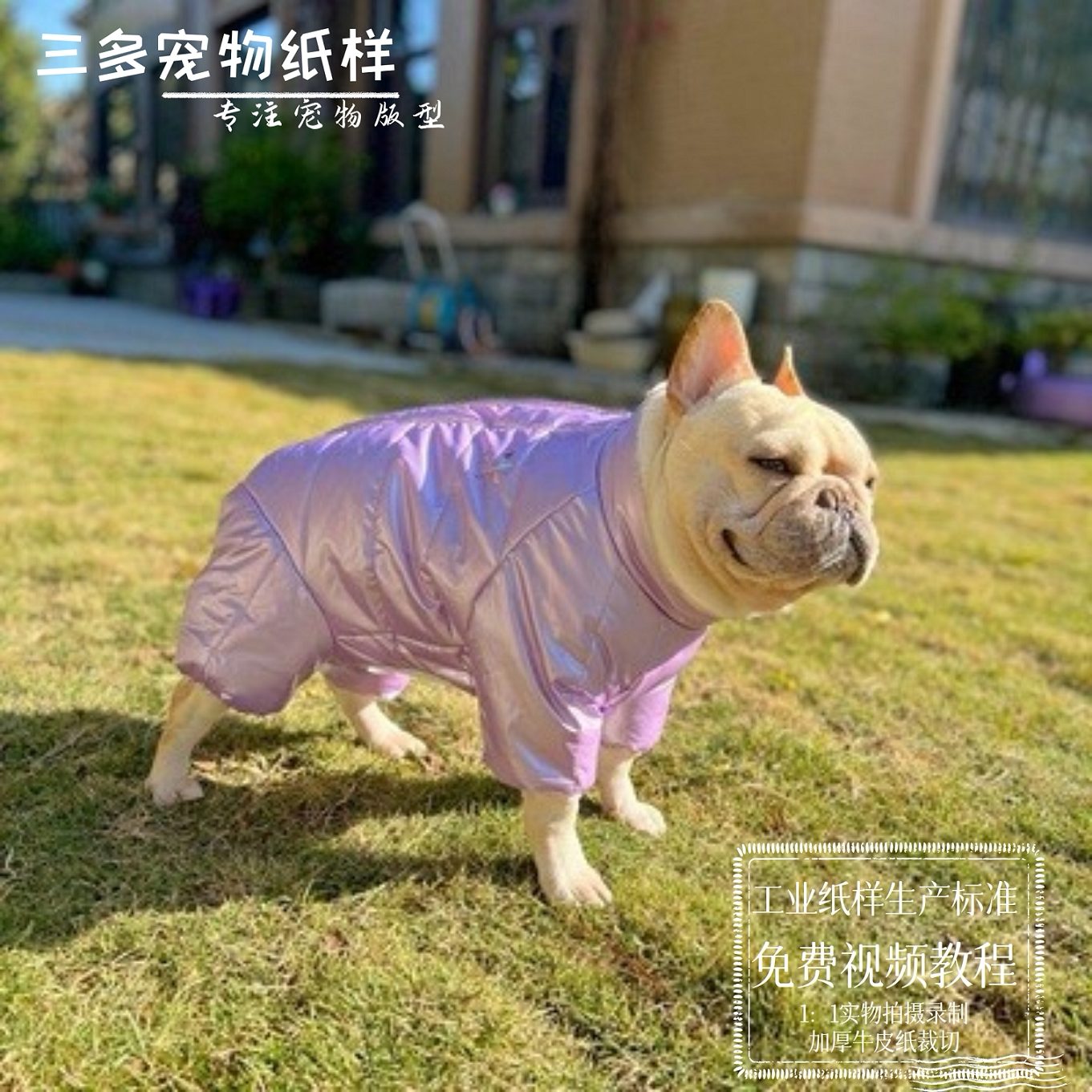 宠物衣服纸样四脚包肚衣泰迪四脚衣棉衣图纸雨衣棉袄模板公母通用