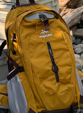 登山包大容量30L旅行包双肩包女户外运动徒步轻便旅游背包男书包