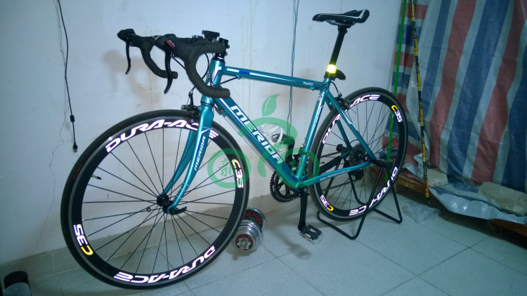 Décoration pour vélo - Ref 2283339 Image 4