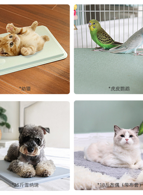 宠物电热毯KH狗狗防水恒温智能冬大中小猫咪窝取暖器加热垫电热板