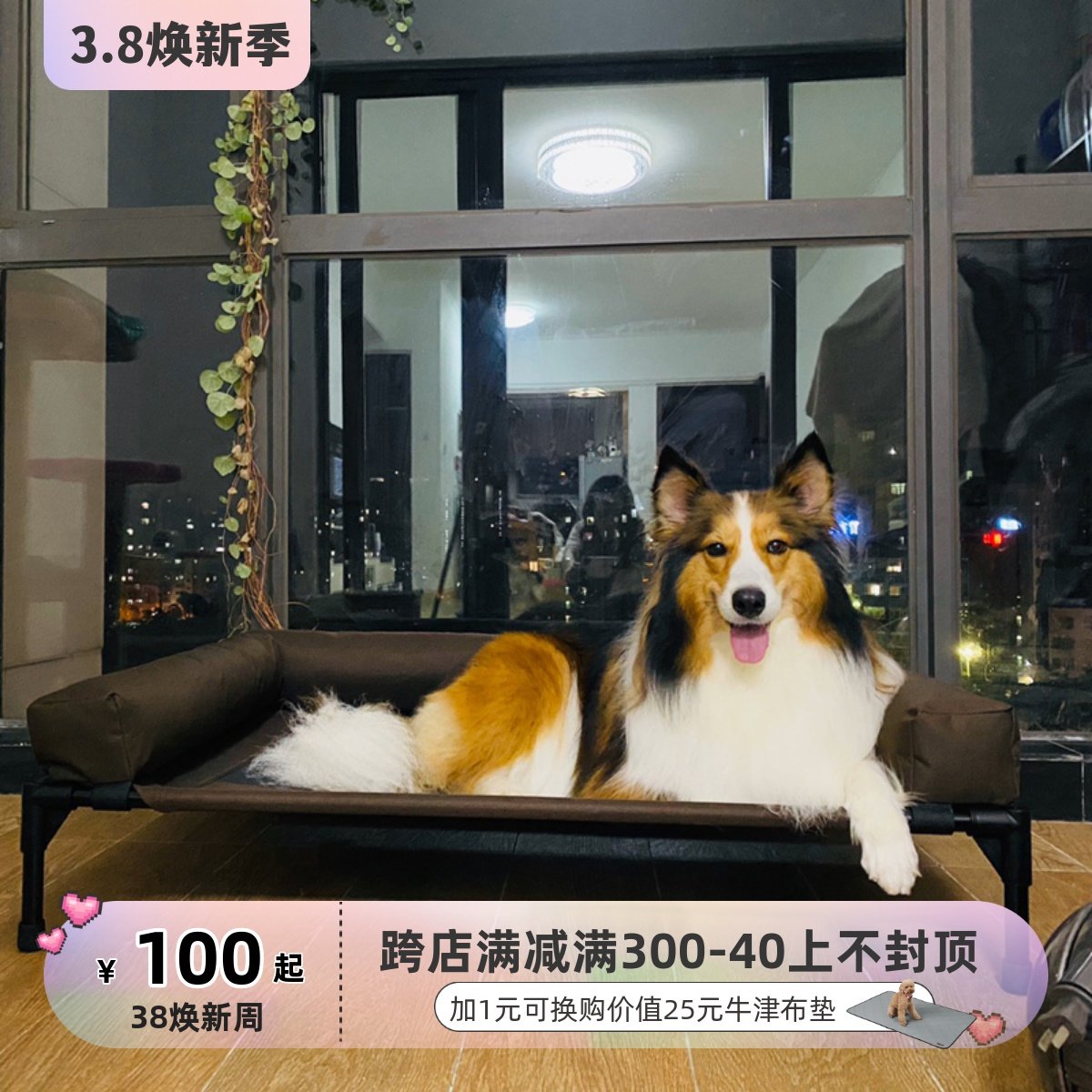宠物行军床可拆洗金毛防潮带围边狗窝KH夏大型犬猫窝铁艺狗床离地
