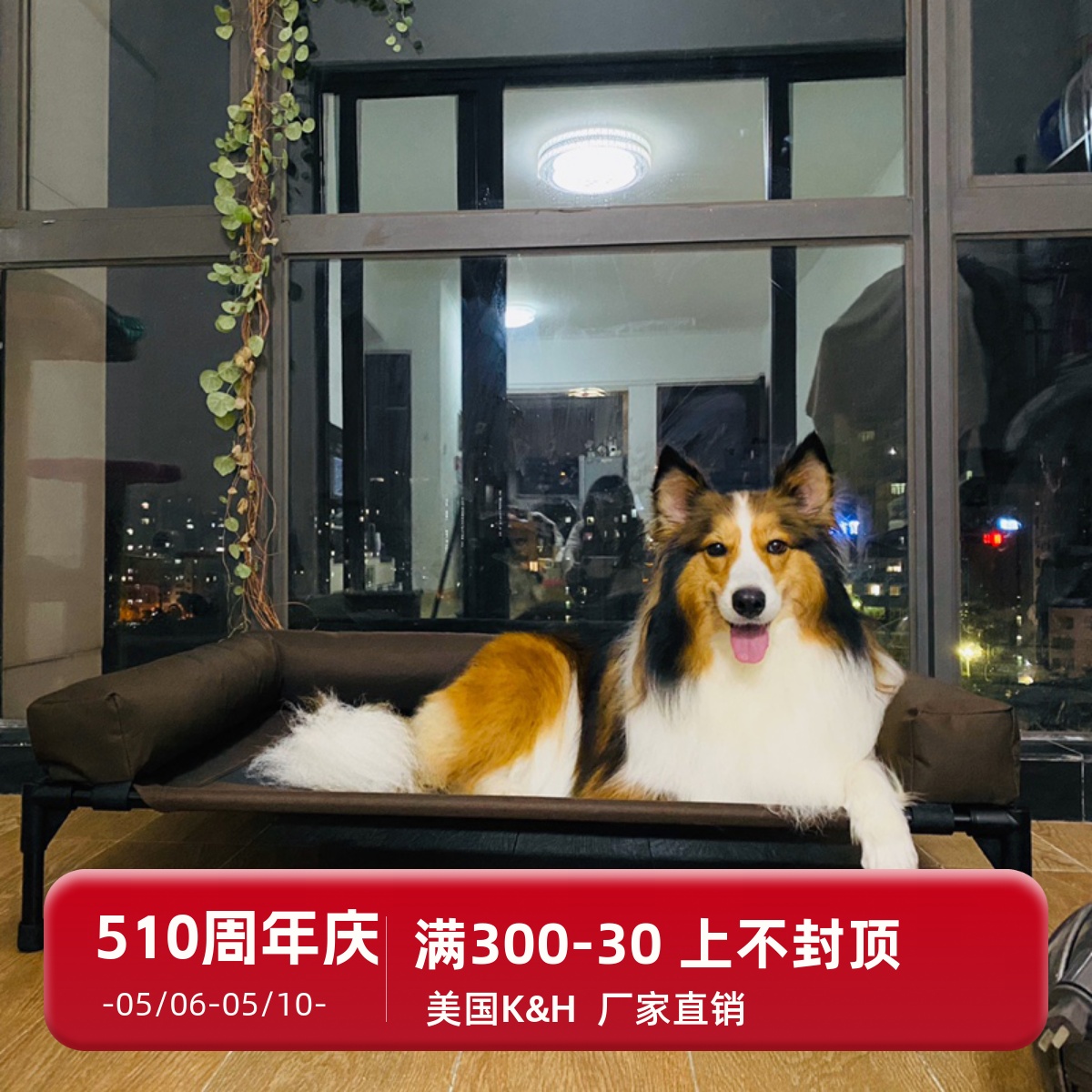 可拆洗围边大型犬铁艺离地狗窝