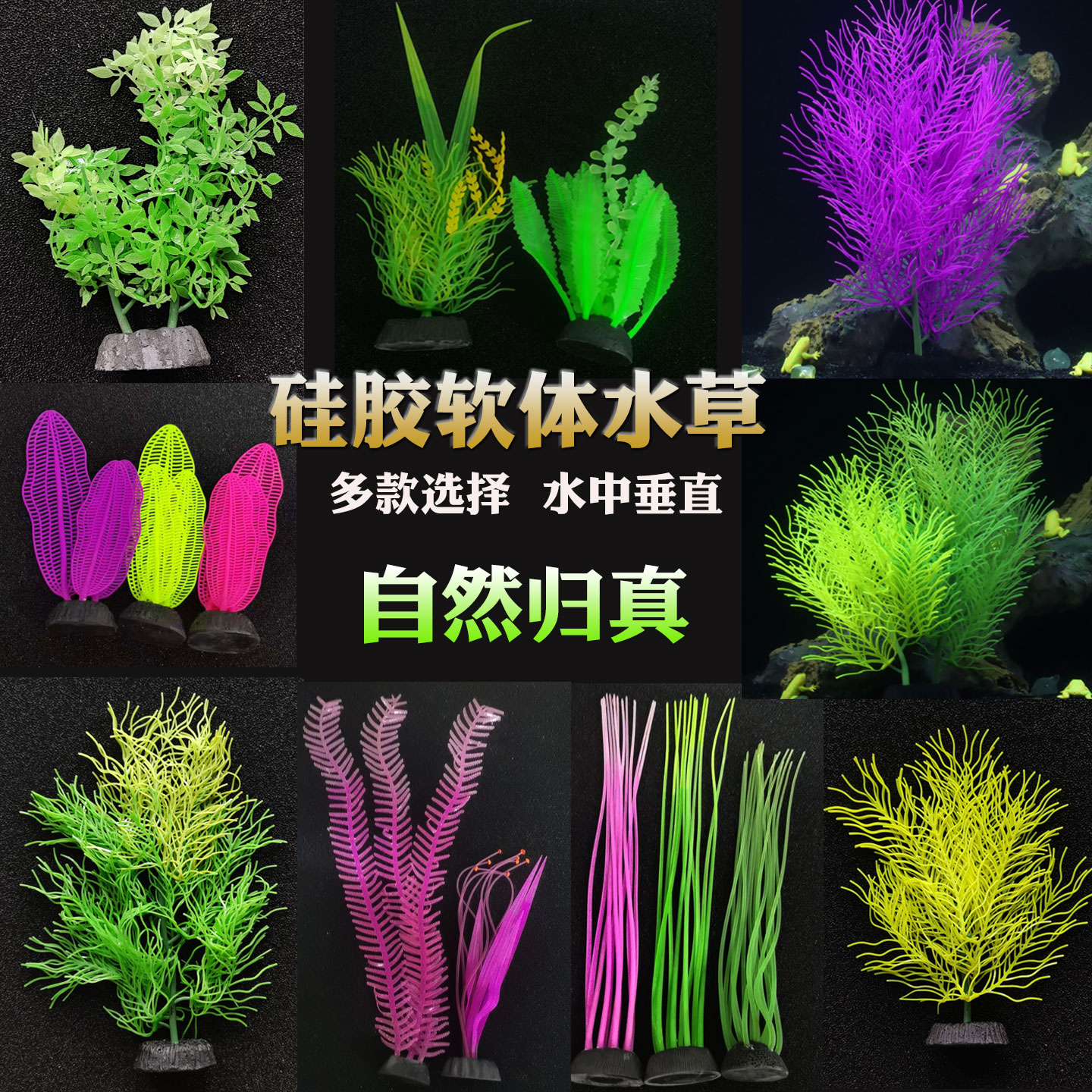 仿真植物水草装饰用品图片