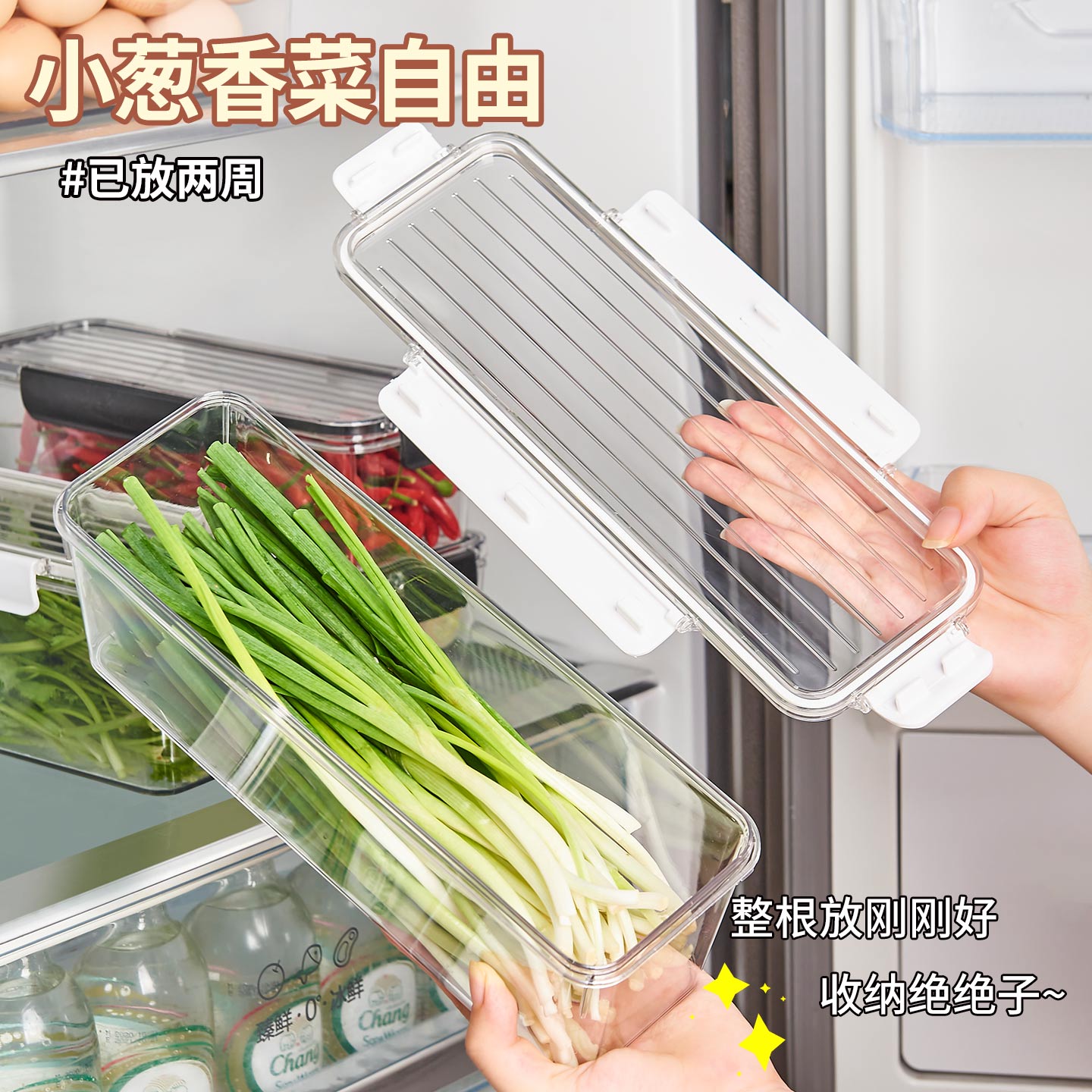 香菜大葱小葱保鲜盒食品级冰箱长方形芫荽葱姜蒜收纳盒鸡蛋面条盒