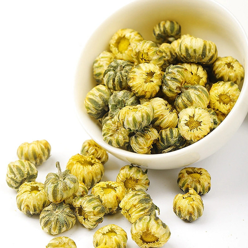 精品罐装胎菊30g装当季现采