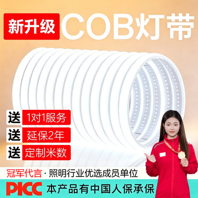 客厅吊顶专用灯带220v超亮氛围灯