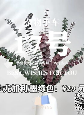 【17号】永生尤加利/墨绿色干花摆件干花花束客厅摆设花瓶永生花
