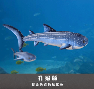 豹纹鲨鱼毛绒玩具新品大白鲨公仔布娃娃儿童抱枕女生生日礼物靠垫