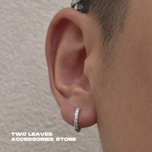 TWOLEAVES欧美S925纯银满钻耳环