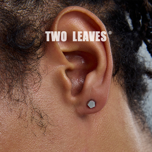 TWO S925纯银拉丝五边形耳钉简约百搭潮男女螺丝免摘耳饰 LEAVES