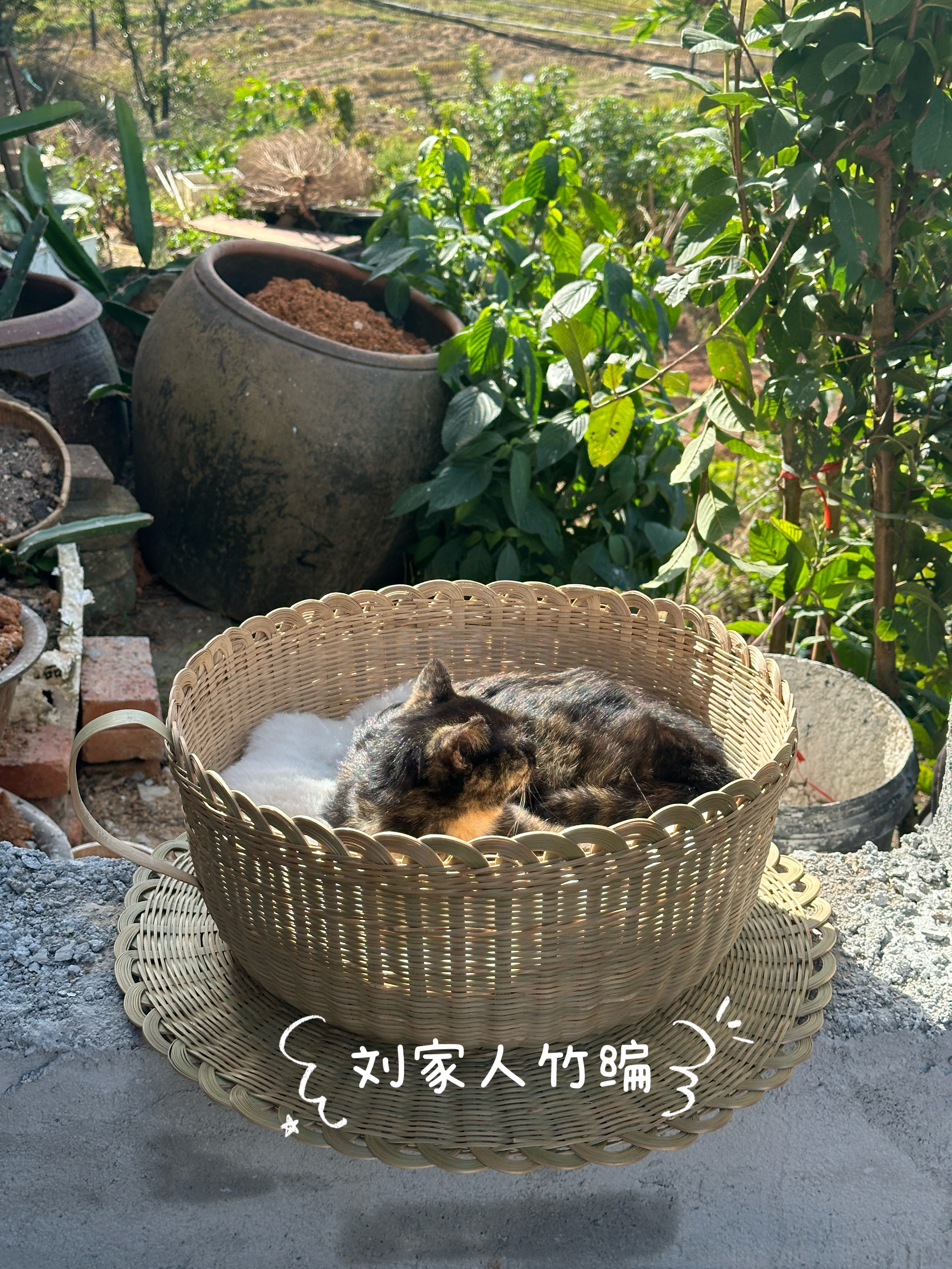 刘家人竹编手工编织四季通用竹编猫窝凉窝宠物窝荷花口咖啡杯猫窝