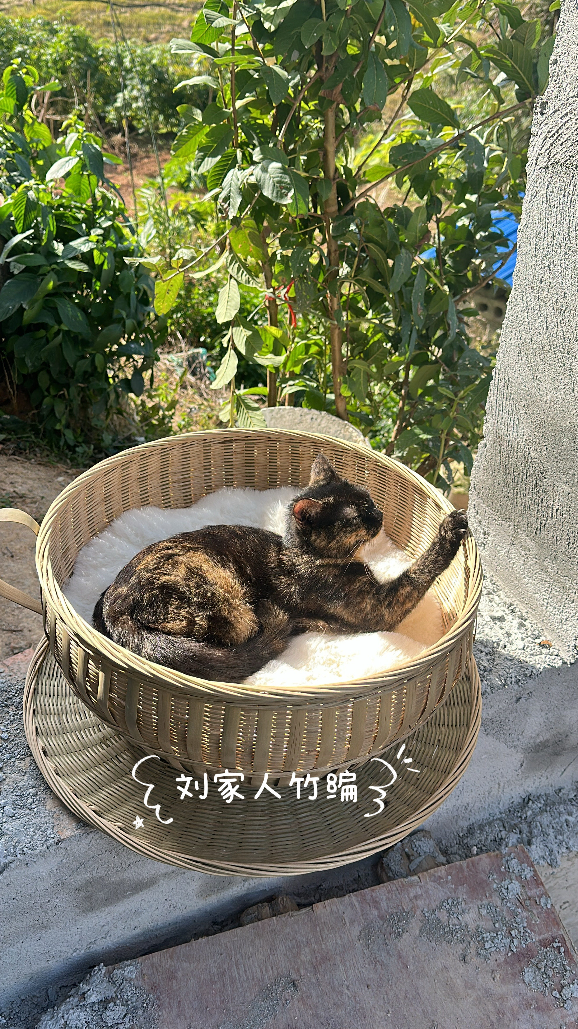 刘家人竹编手工编织竹编猫窝四季通用凉窝暖窝凹口咖啡杯猫窝