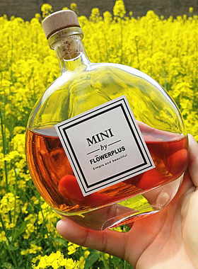 小清新酒瓶空酒瓶250ml玻璃瓶 有时玻璃酒瓶蓝莓果酒饮料果汁空瓶