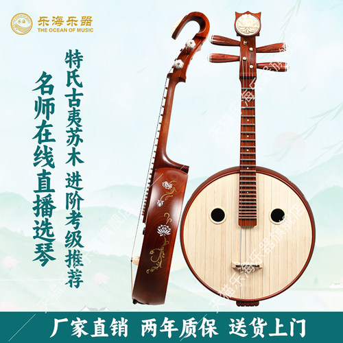 乐海中阮乐器名师直播选琴