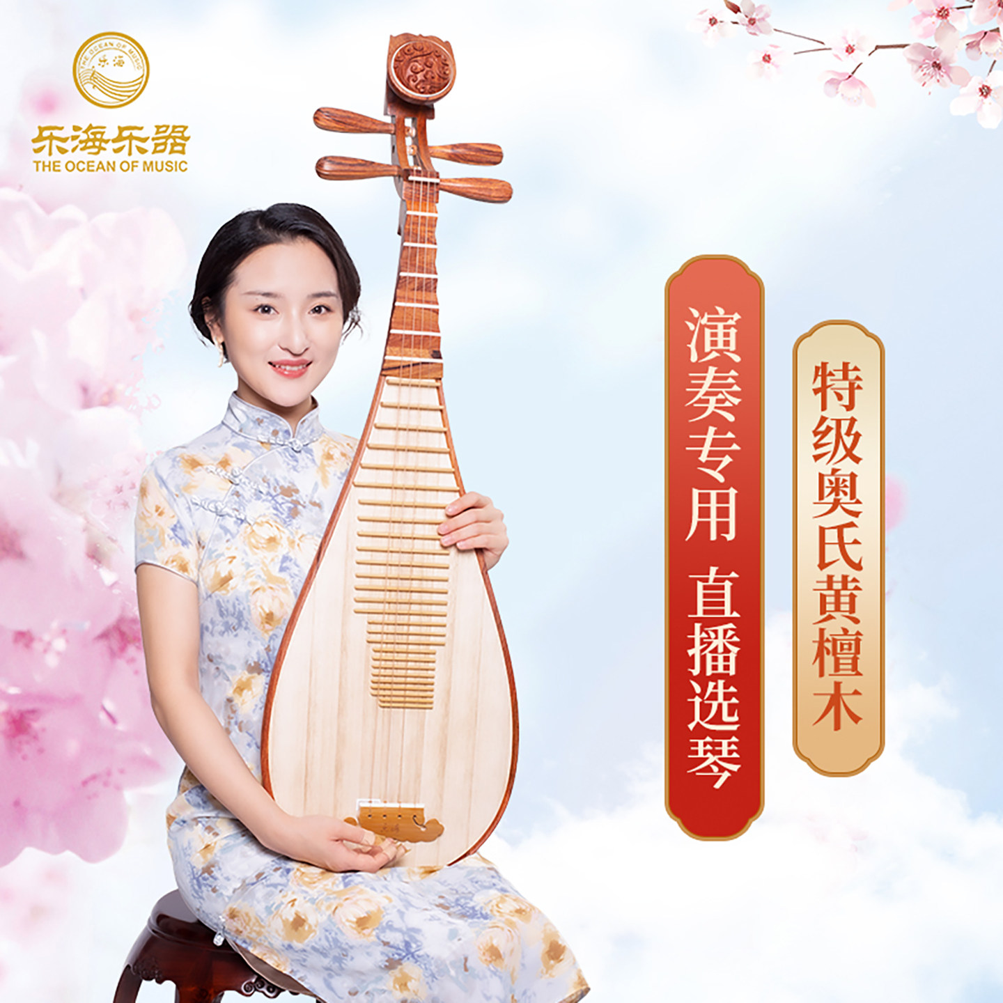 乐海 琵琶乐器演奏级特级奥氏黄檀木材质祥云头饰原木抛光DJ14-AA