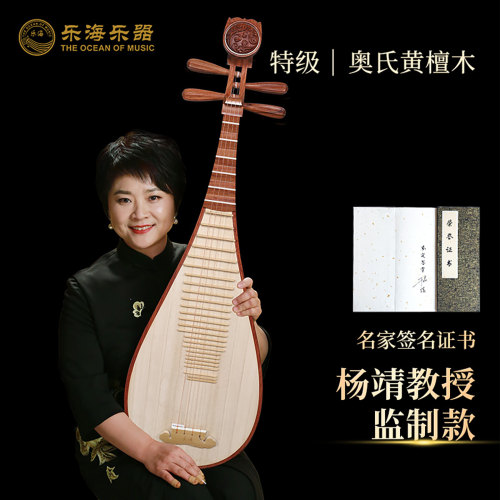 琵琶乐器乐海杨靖教授监制