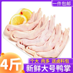 大鸭掌生鲜无骨鸭掌去骨鸭爪子冷冻批 发脱骨生鸭脚鸭货火锅食材