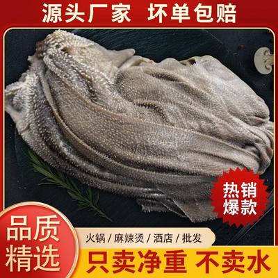 小叶无泡发鲜毛肚火锅专用批发