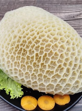 金钱肚新鲜黄牛肚白煮牛大肚8成熟牛板肚无添加剂火锅食材