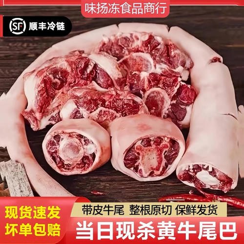 新鲜带皮牛尾巴整根原切黄牛新鲜现杀牛尾骨散养黄牛商用