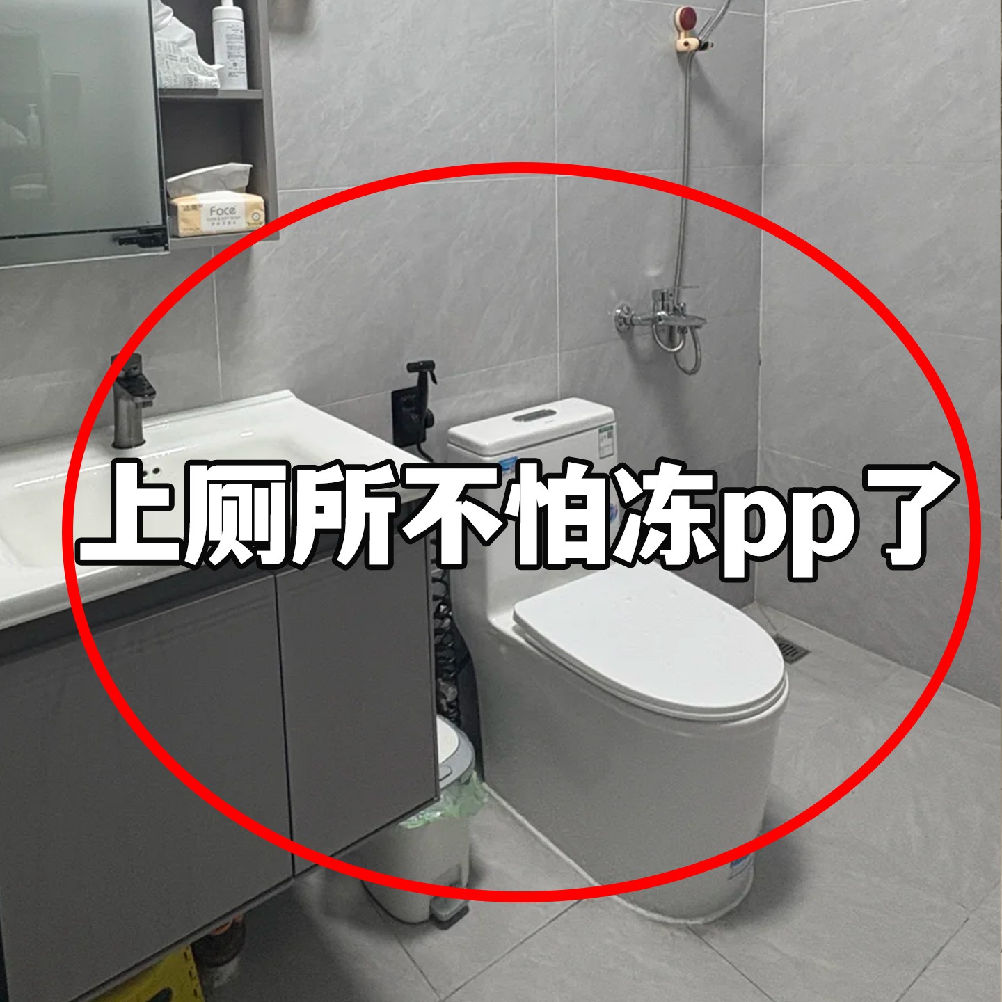 毛绒马桶垫子冬季加厚粘贴式坐便器垫圈厕所卫生间旅行洗漱套装5