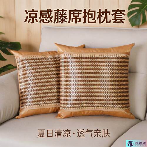 客厅沙发抱枕套夏季冰丝可拆洗抱枕45x45冰藤凉席靠垫套不含芯