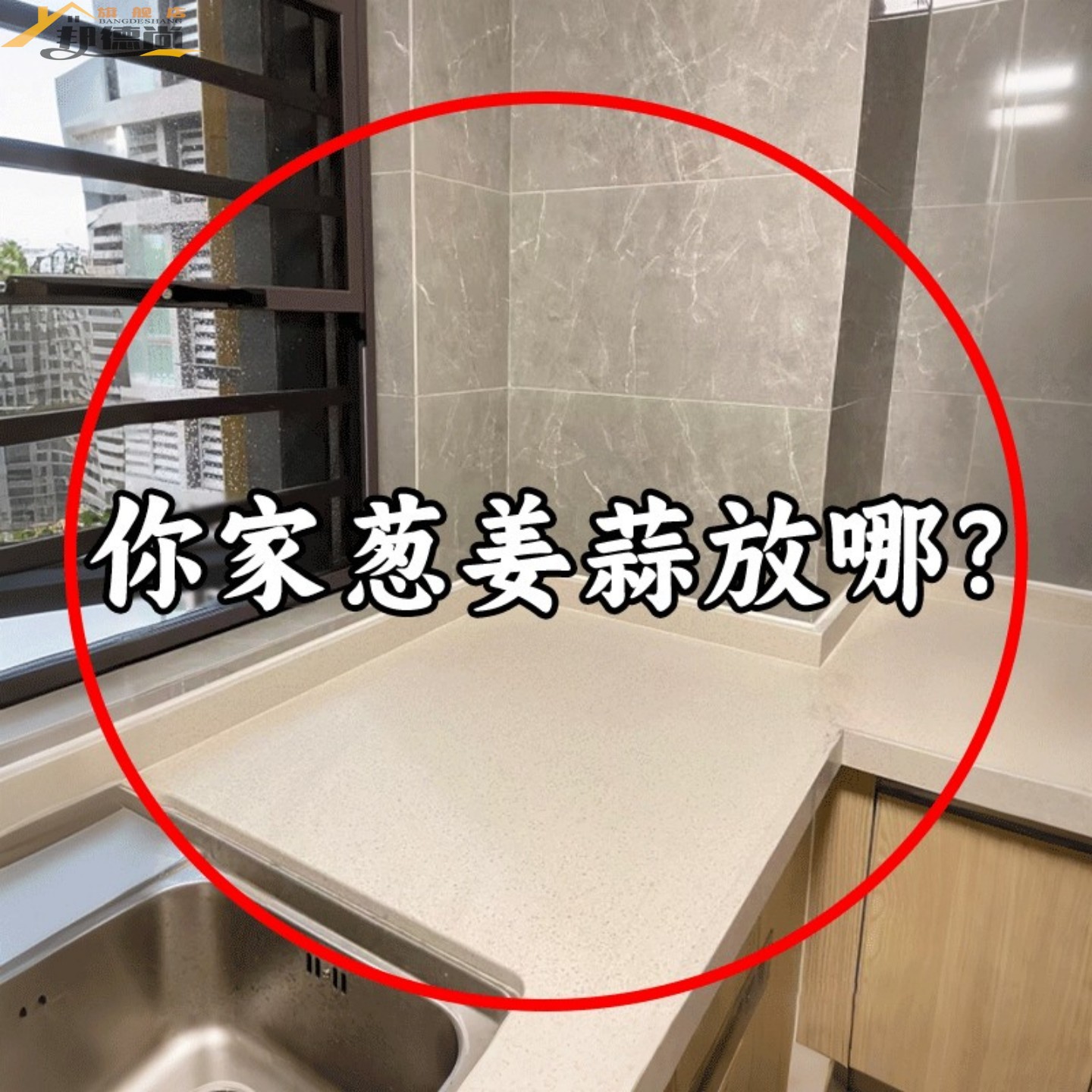 吸盘葱姜蒜收纳盒厨房置物架壁挂生姜大蒜收纳神器毛绒玩具收纳桶