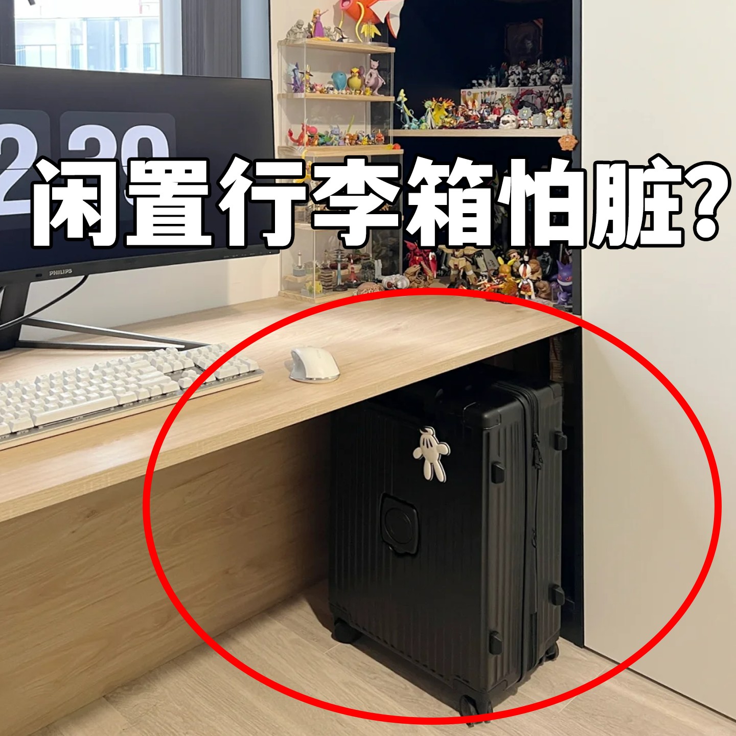 一次性防尘罩小家电饭煲空气炸锅厨房微波炉万能全盖行李箱备菜盘