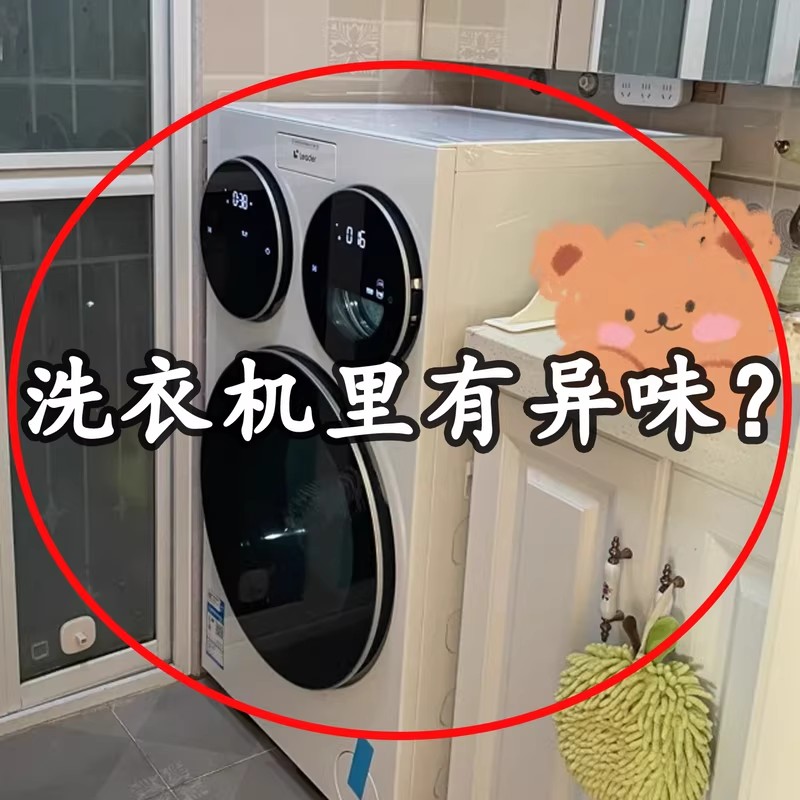 洗衣机花朵通风卡扣家用款滚筒洗衣机透气支架可磁吸可拆便携衣架