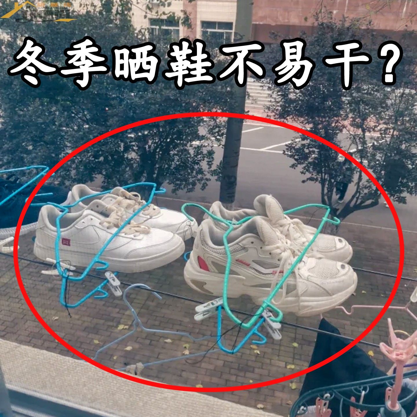 家用晾鞋架晒鞋子神器阳台鞋子晾晒架多功能收纳挂钩微波炉清洁器