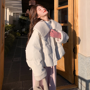 现货 新款 蛋白皮拼接羊羔毛90白鸭绒羽绒服 271-9232P335K498图片