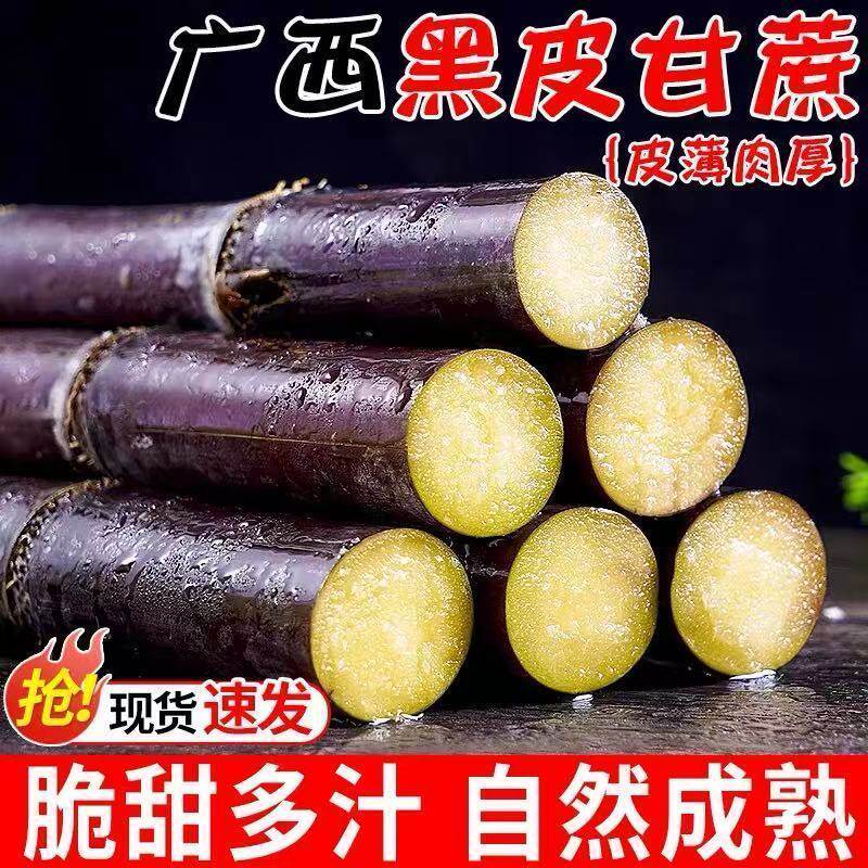 广西黑皮甘蔗新鲜现砍超级甜中段长节薄皮脆甜小甜杆广西甘蔗多汁