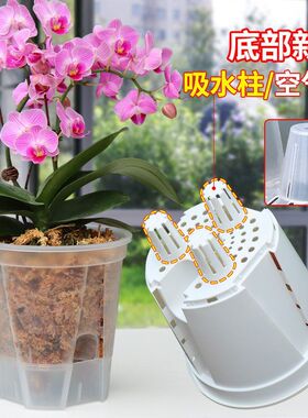 自吸水 新款储水透明青山盆蝴蝶兰 透气控根盆花盆 塑料懒人盆