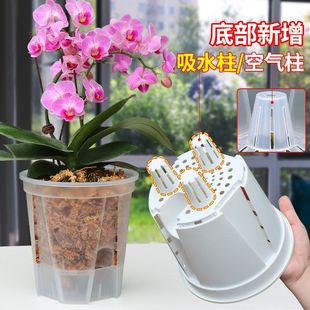 自吸水 新款储水透明青山盆蝴蝶兰 透气控根盆花盆 塑料懒人盆