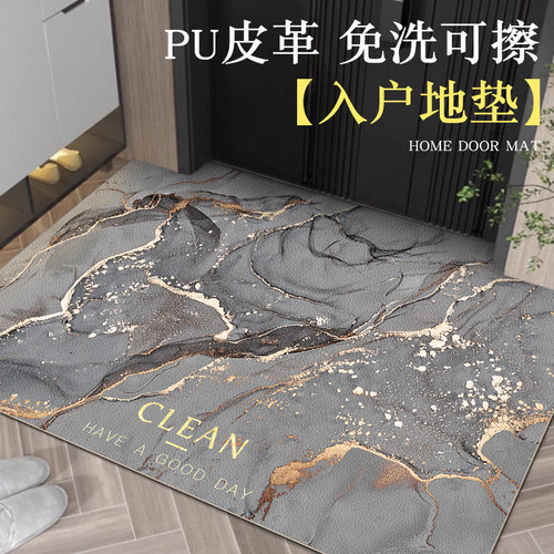 大门口可擦洗家用轻奢玄关踩脚垫