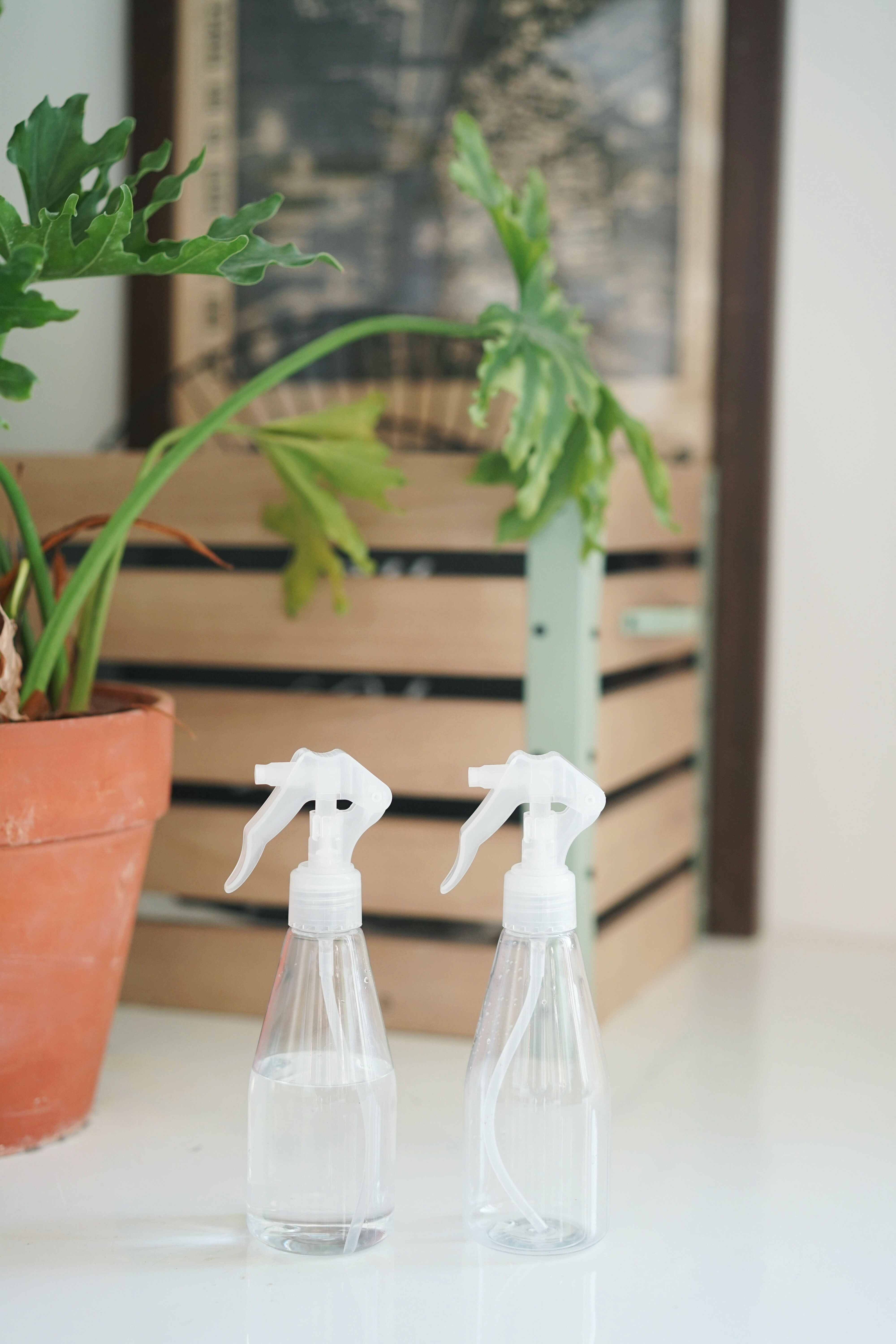 植物私生活 |拍花盆送 拍下改价 实用小巧喷雾型浇水器|msdalam kategori penghantaran bunga/bunga simulasi/tumbuhan berkebun, Gardening Supplies, Penyiraman/Penyiraman boleh - dari Buy2taobao.com untuk memberikan perkhidmatan ejen Taobao profesional membeli