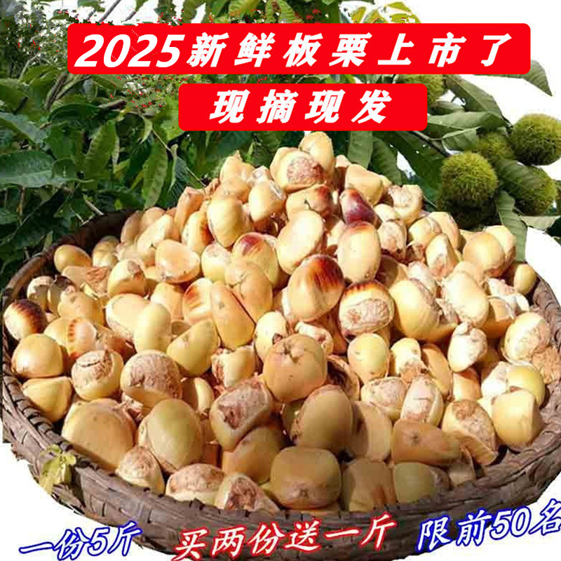 2025罗田板栗生新鲜栗子农家现摘现发嫩栗子毛栗子板栗花板栗仁