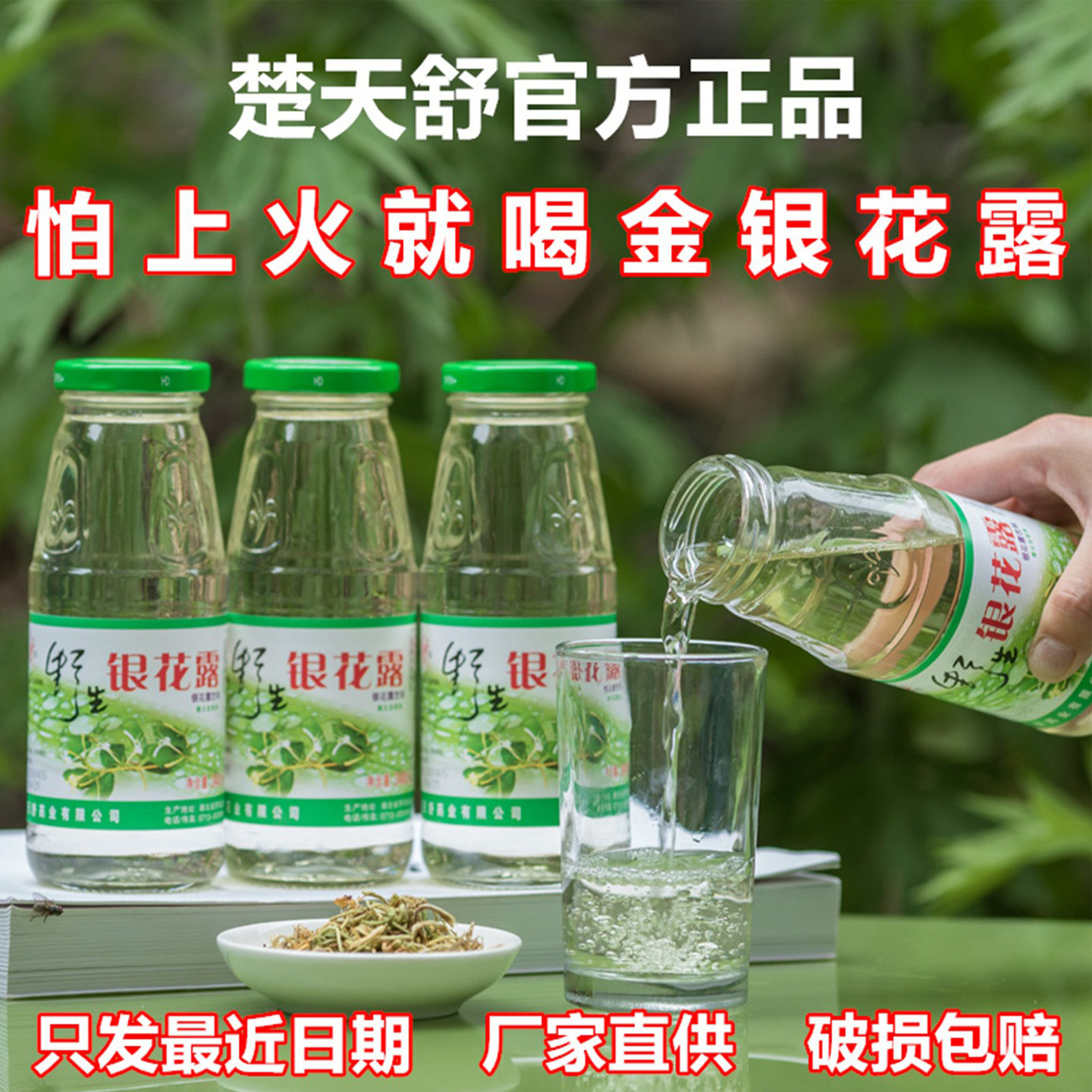 湖北楚天舒金银花露整箱成人清热解暑野生金银花饮品儿童植物饮料